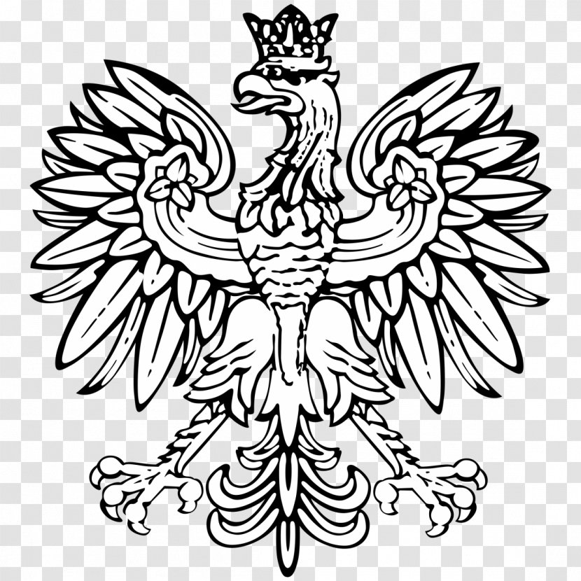 Coat Of Arms Poland Eagle Flag T-shirt - Artwork Transparent PNG