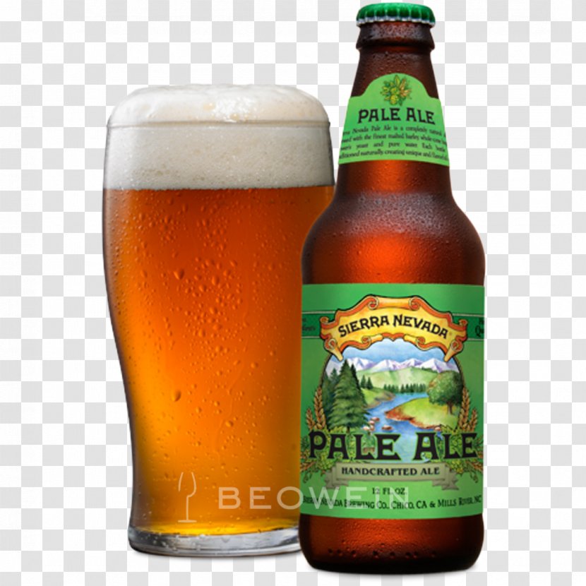 India Pale Ale Sierra Nevada Brewing Company Beer - Craft Transparent PNG