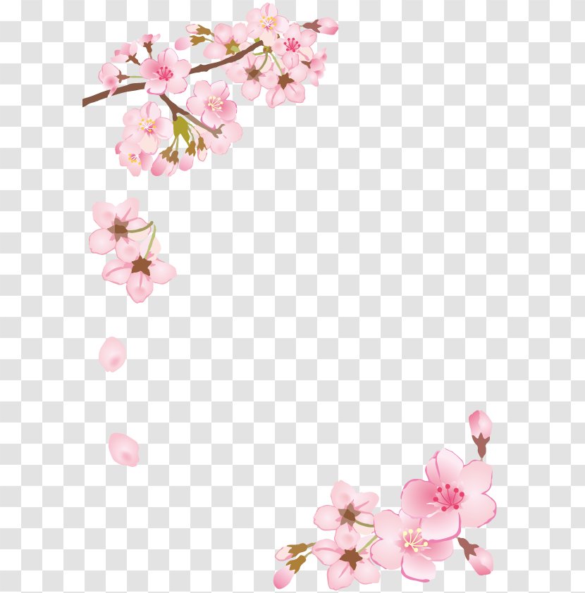 Birth 街の中の喫茶店あっぷる Cherry Blossom シーサイドリビング沙美 - Floral Design - 素材中国 Sccnn.com 7 Transparent PNG