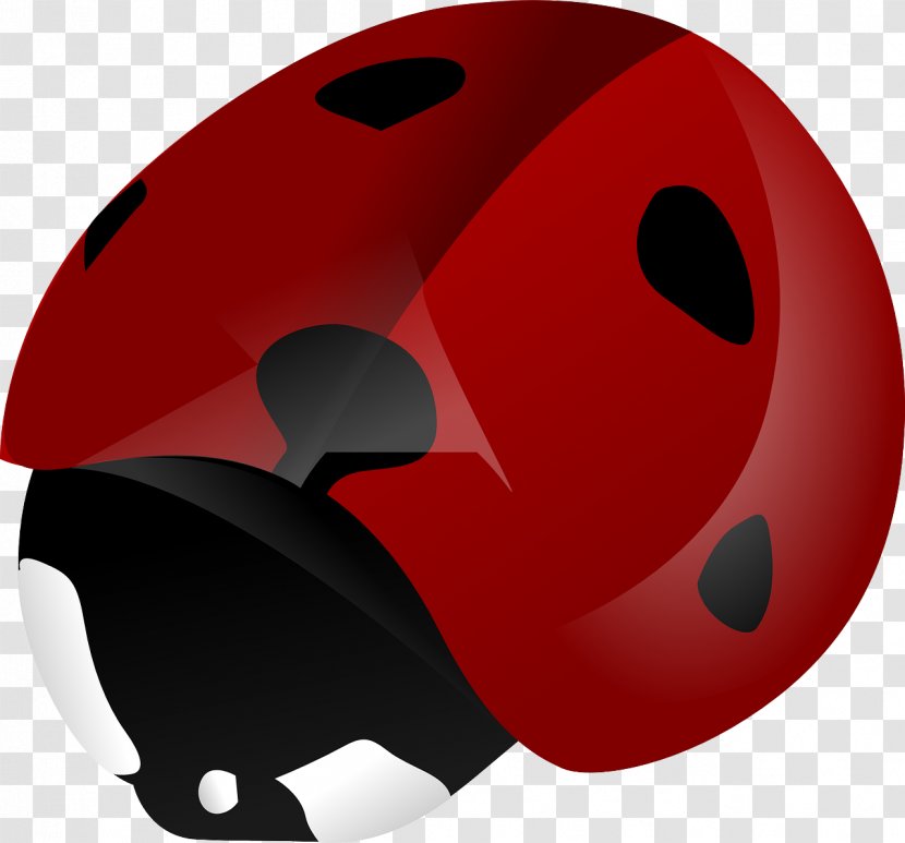 Beetle Ladybird Pixabay Clip Art - Red Transparent PNG