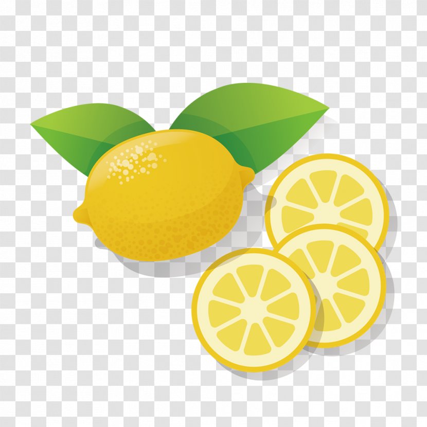 Lemon Lime Drawing - Citric Acid Transparent PNG