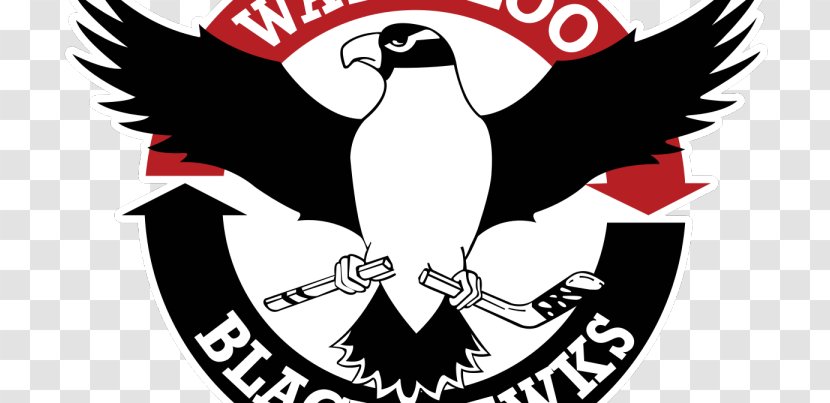 Young Arena United States Hockey League Waterloo Black Hawks Lincoln Stars Tri-City Storm - Omaha Lancers Transparent PNG