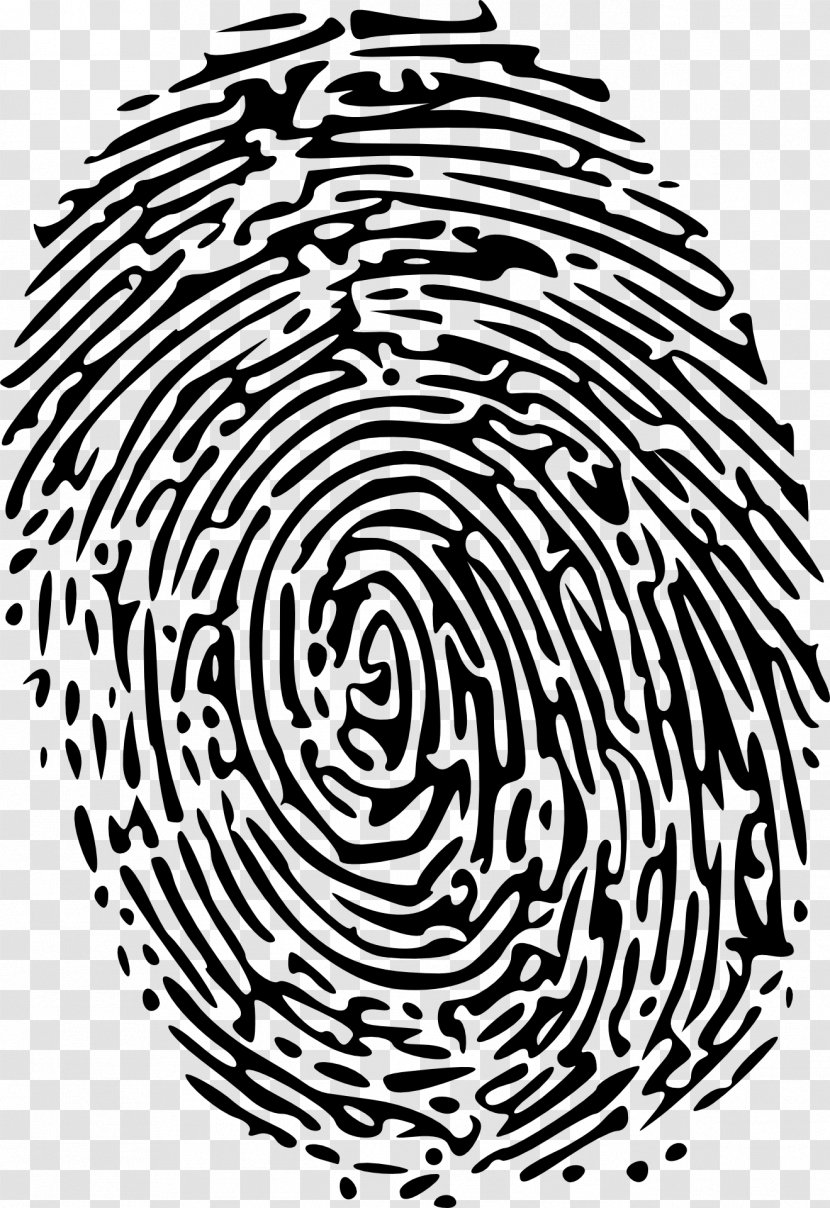 Fingerprint Clip Art - Color - Hao Transparent PNG