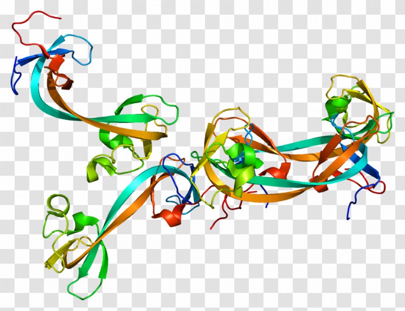 KDM4A Demethylase Gene Protein KDM4C - Silhouette - Watercolor Transparent PNG