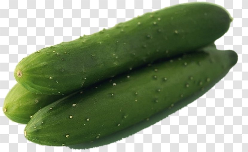 Pickled Cucumber Spreewald Gherkins Ivy Gourd - Cucumis Transparent PNG