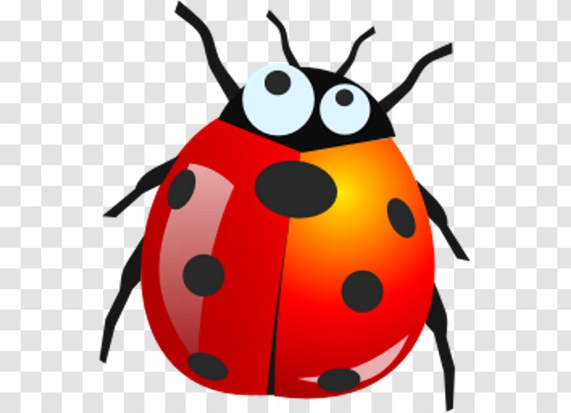 Ladybird Beetle Software Bug Clip Art Transparent PNG