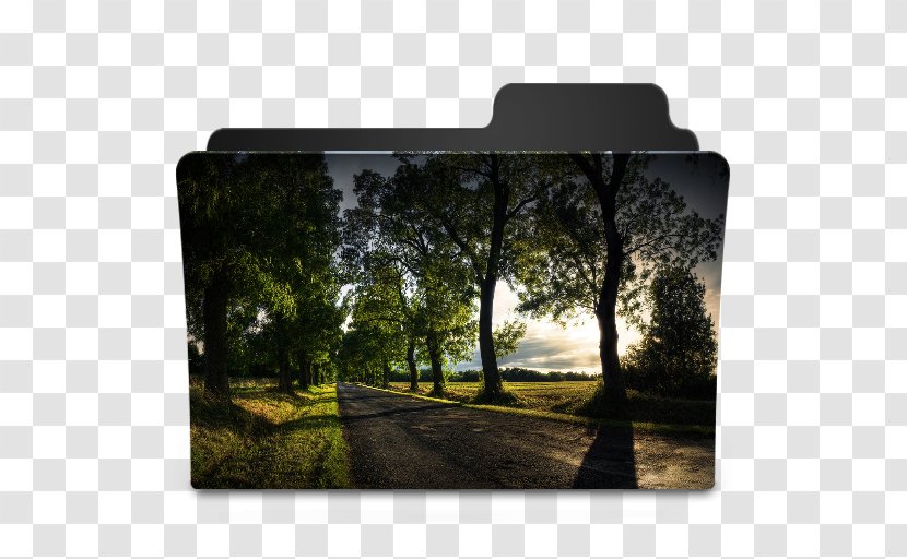 Directory Desktop Wallpaper Mobile Phones - Grass - Landscape Transparent PNG