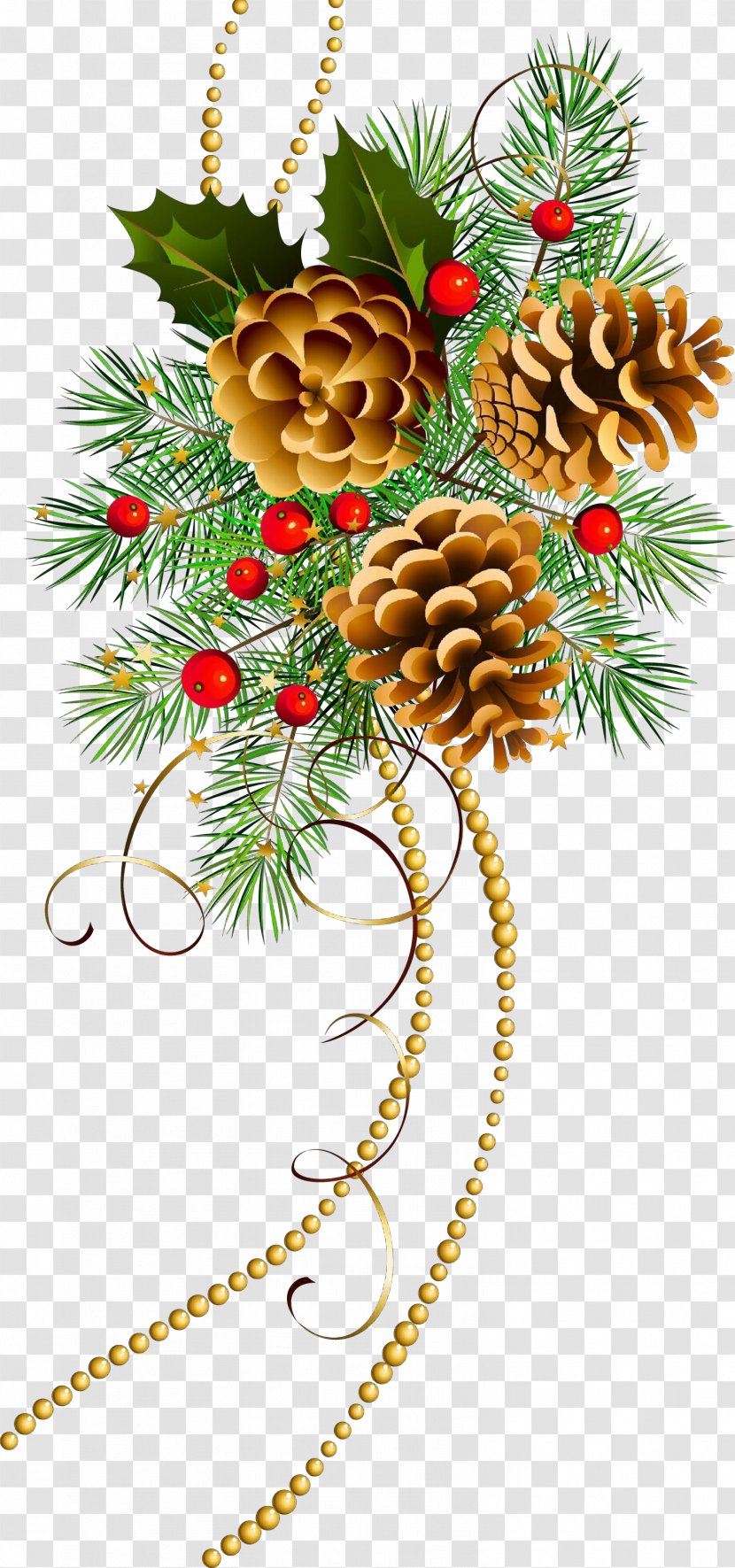 Christmas Decoration - Pine - Ornament Plant Transparent PNG