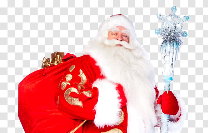 Ded Moroz Snegurochka Grandfather Ziuzia Holiday - Fictional Character - Christmas Decoration Transparent PNG