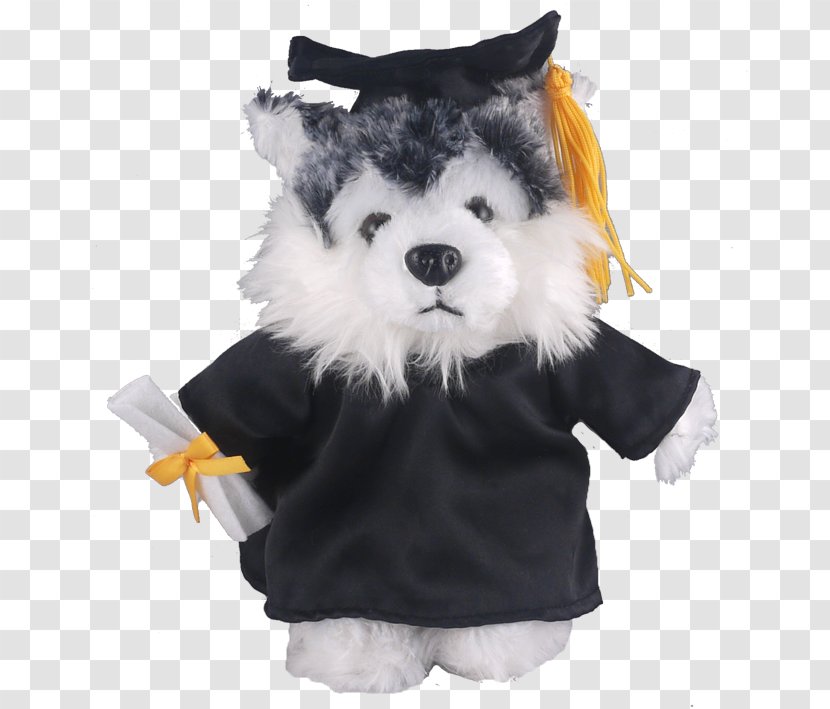 Stuffed Animals & Cuddly Toys Dog Graduation Ceremony Academic Dress T-shirt - Gown Transparent PNG