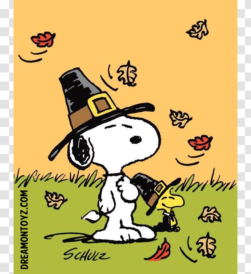 Snoopy Charles M. Schulz Museum And Research Center Charlie Brown Woodstock Thanksgiving - Vertebrate - Peanuts Pilgrim Cliparts Transparent PNG