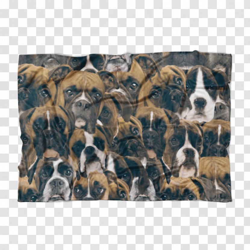 Dog Breed Snout Crossbreed Transparent PNG