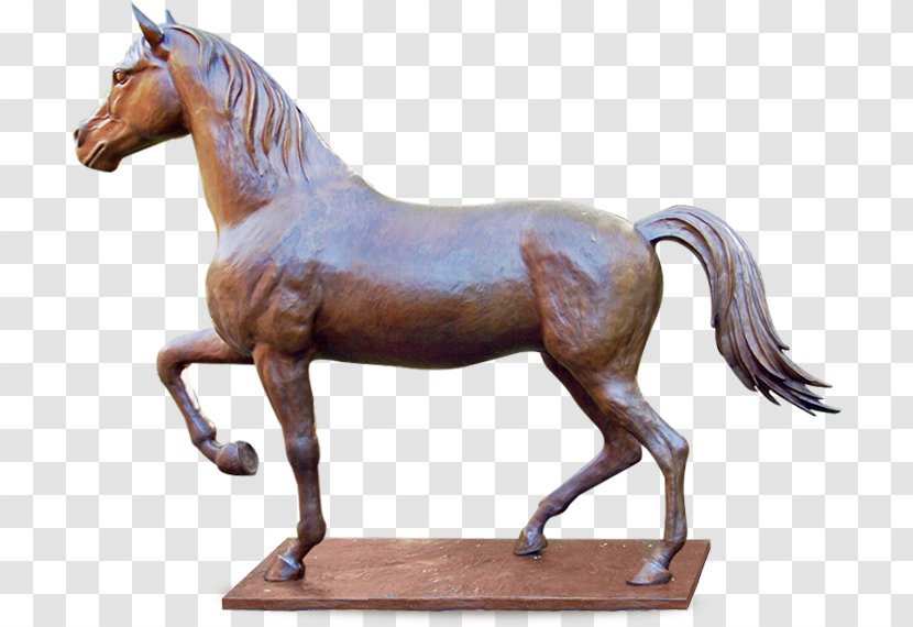 Sculpture Equestrian Statue Image Pony - Stallion - Mare Transparent PNG