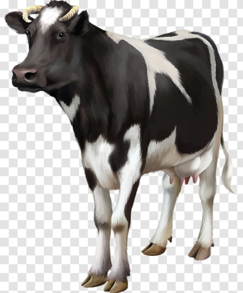 Holstein Friesian Cattle Milk Goat Dairy Farming - Cow Transparent PNG
