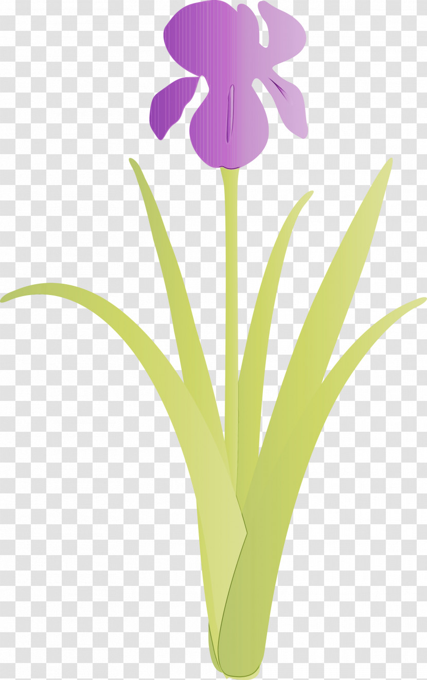 Flower Violet Plant Purple Iris Transparent PNG