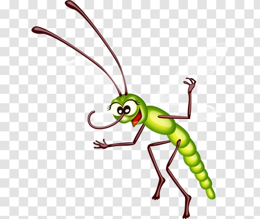Ant Insect Drawing Clip Art - Invertebrate Transparent PNG