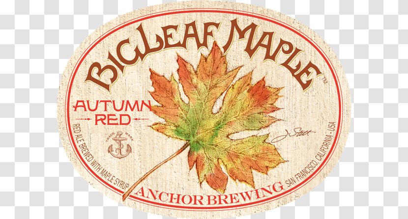 Anchor Brewing Company Beer Irish Red Ale Bigleaf Maple - Autumn - News Transparent PNG