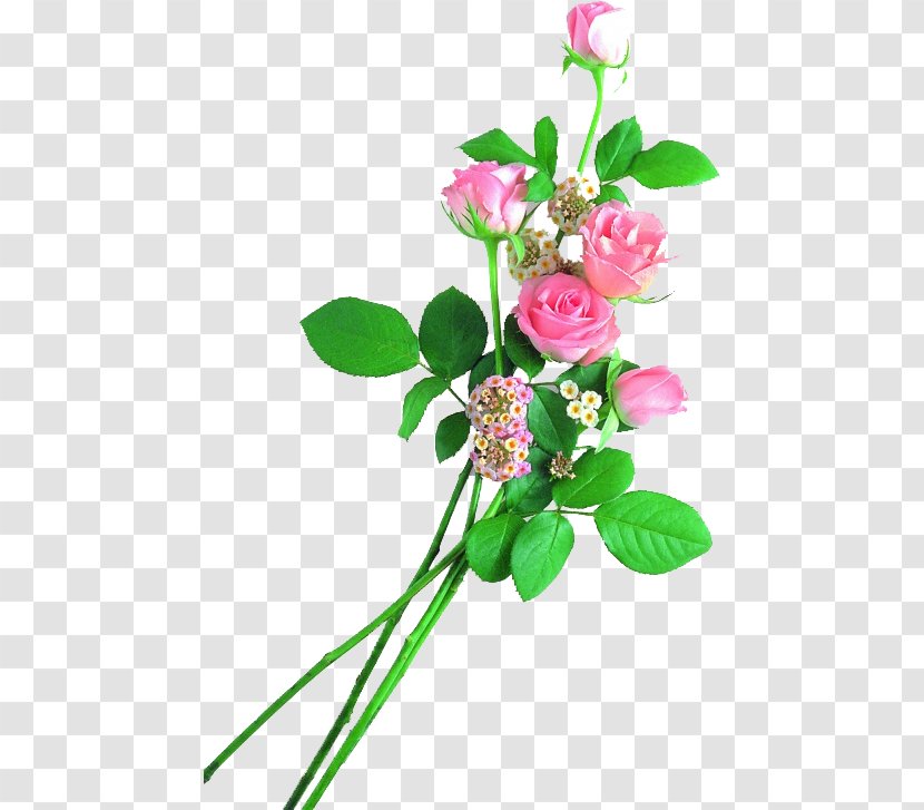 Malayalam Poetry Mother Poems Garden Roses - Pink - Mother's Day Transparent PNG