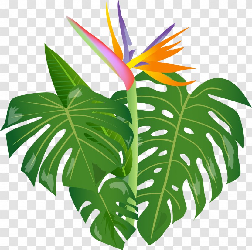 Niihau Hula Lomilomi Massage Lei Aloha - Jungle Transparent PNG