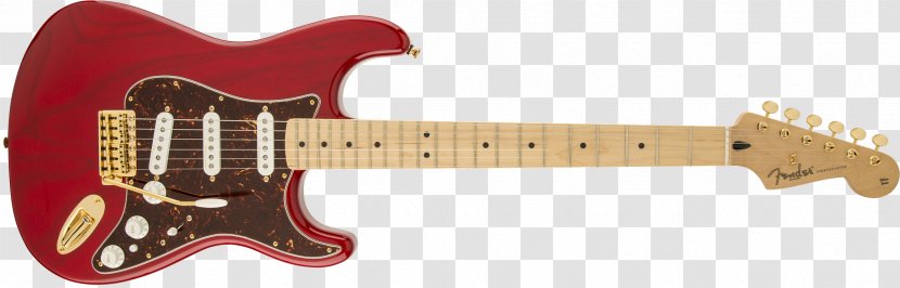 Fender Stratocaster Squier Musical Instruments Corporation Standard - Flower Transparent PNG