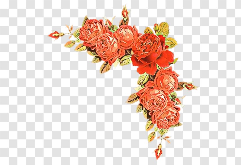 Garden Roses - Rose Family - Floral Design Transparent PNG