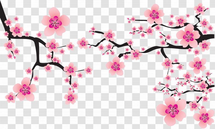 Cherry Blossom Cerasus Clip Art - Flower - Sakura Transparent PNG