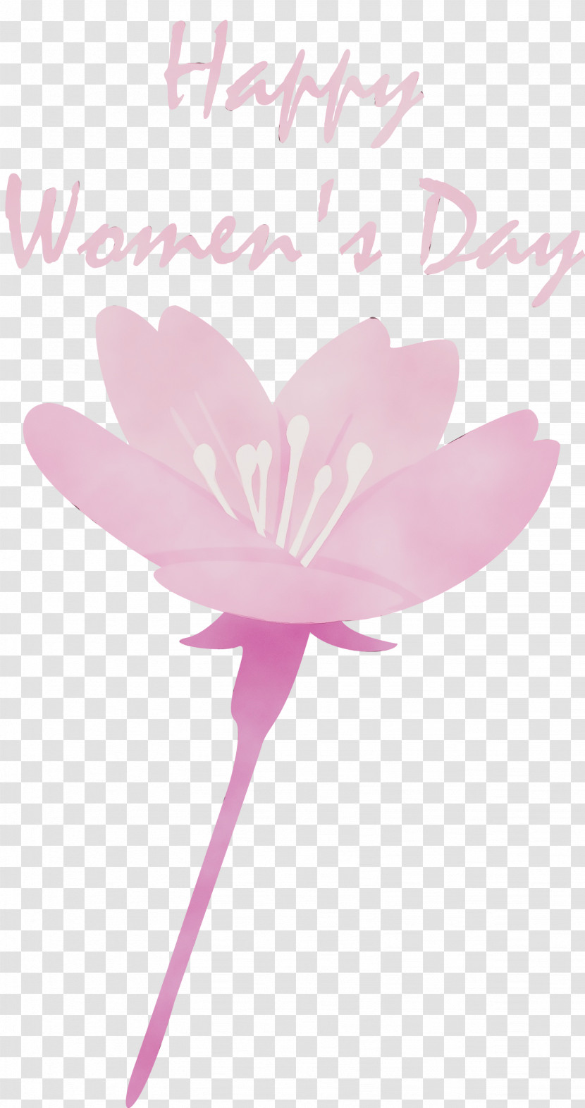 Petal Pink Flower Plant Aquatic Plant Transparent PNG