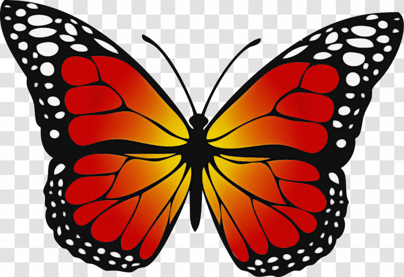 Monarch Butterfly Transparent PNG