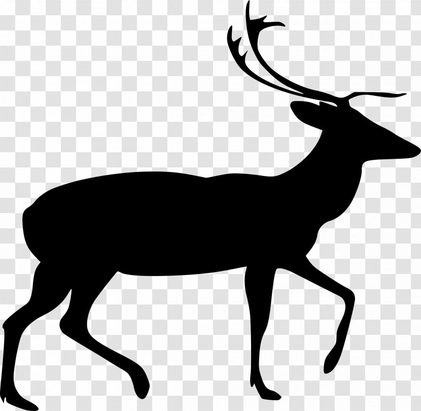 Deer Silhouette Line Art Clip - Black And White Transparent PNG