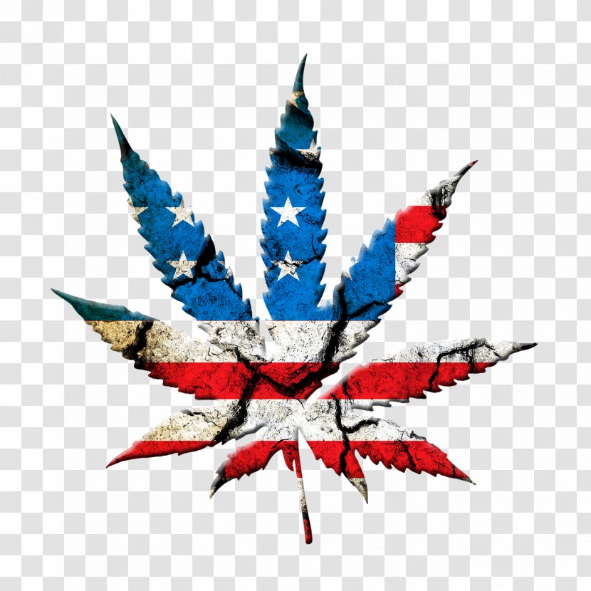 United States Medical Cannabis Legality Of Legalization Transparent PNG