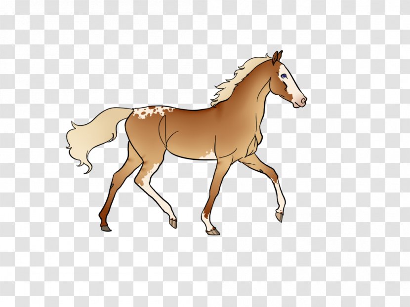 Foal Mustang Stallion Colt Mare - Horse Supplies Transparent PNG