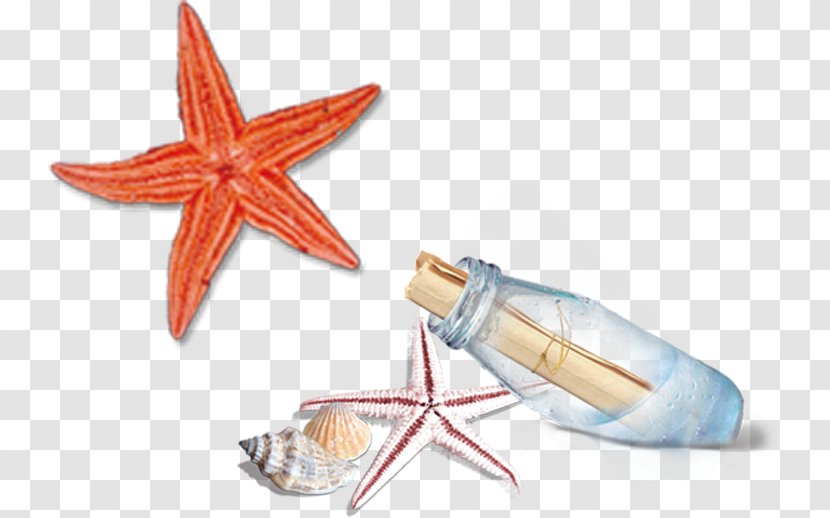 Computer File - Poster - Drift Bottles Starfish Transparent PNG