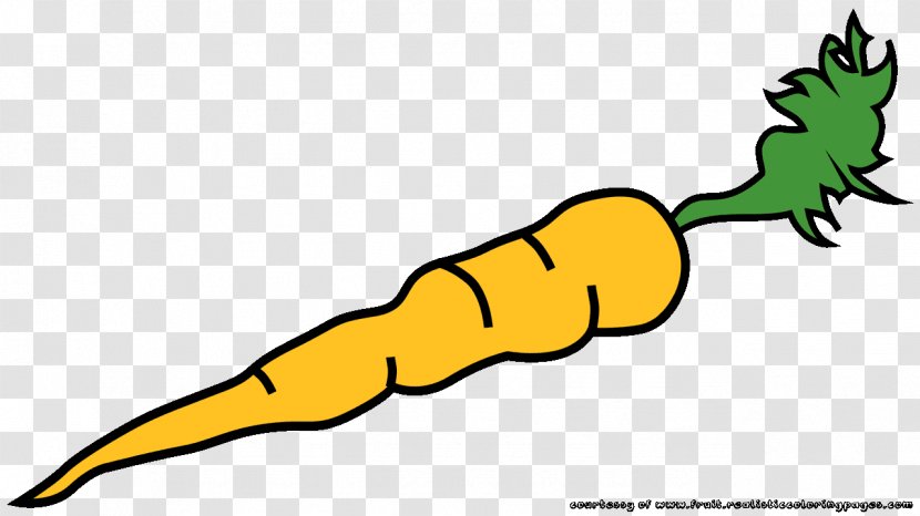 Clip Art Carrot Fruit Image Openclipart - Plant Transparent PNG