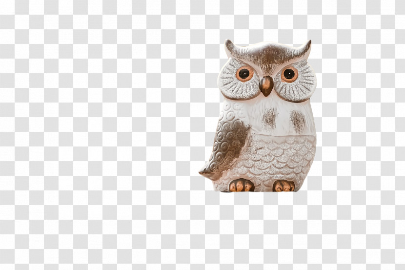 Owl M Beak Transparent PNG