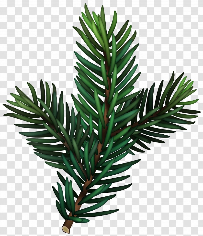 Clip Art Image Design Download - Tree - Pines Insignia Transparent PNG