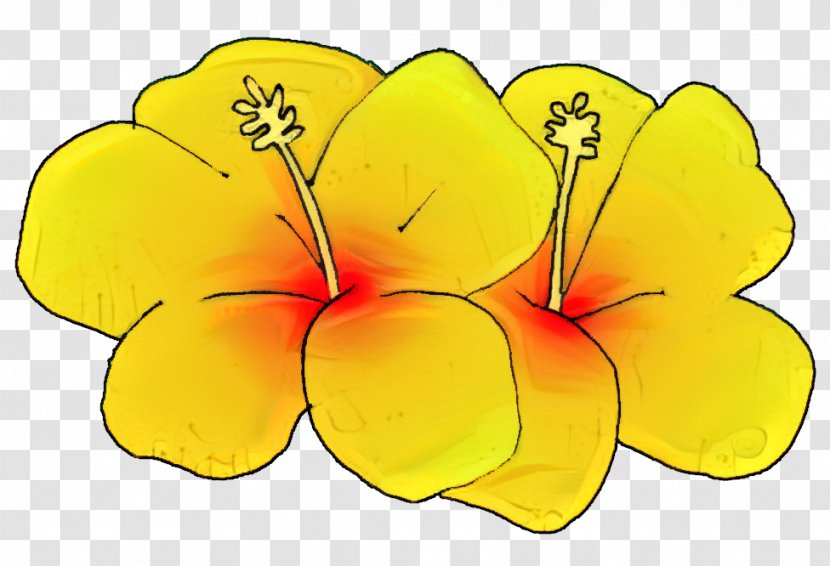 Flowers Background - Flowering Plant - Evening Primrose Family Wildflower Transparent PNG