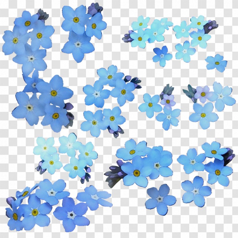 Blue Flower Plant Pattern Clip Art - Petal - Borage Family Transparent PNG