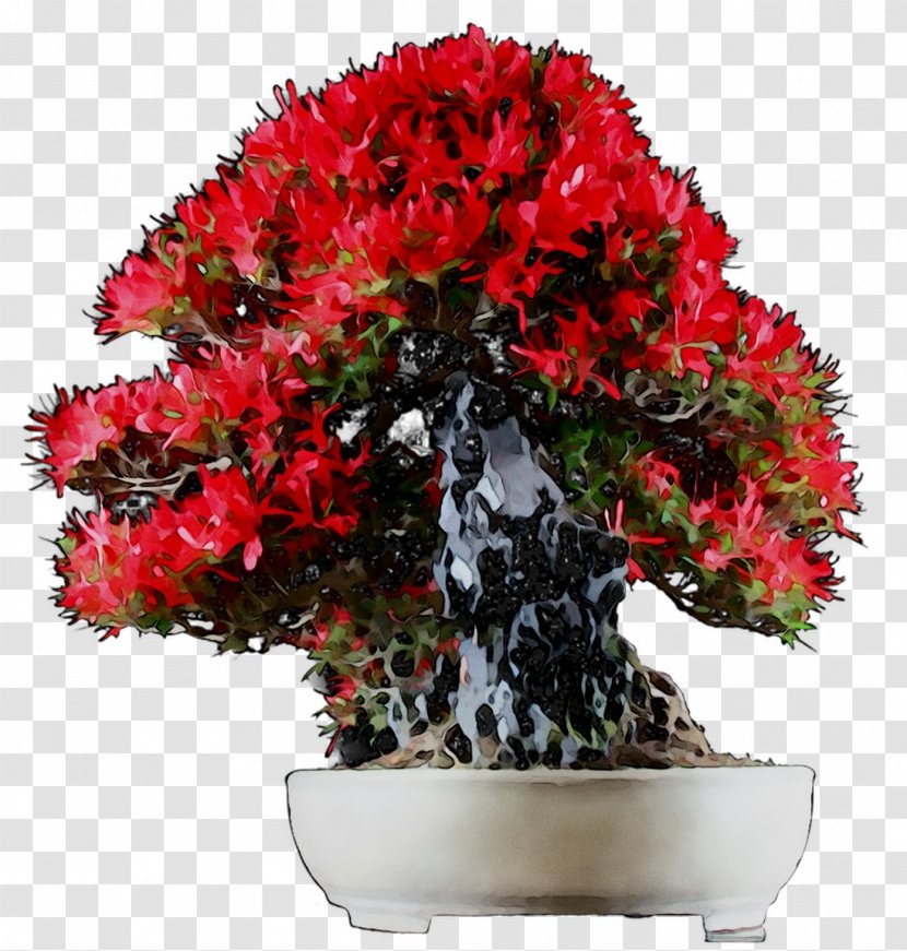 Azalea Floral Design Flowerpot Cut Flowers Bonsai - Woody Plant Transparent PNG
