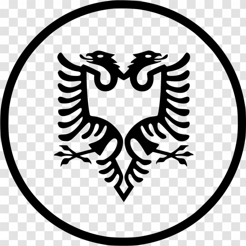 Flag Of Albania T-shirt National Symbols - Stock Photography Transparent PNG