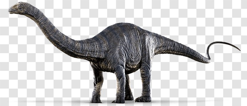 Jurassic World Evolution Apatosaurus Pachycephalosaurus Dinosaur - Park Transparent Transparent PNG