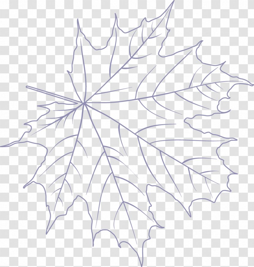 Maple Leaf /m/02csf Drawing Symmetry Line Art - Autumn Color Transparent PNG