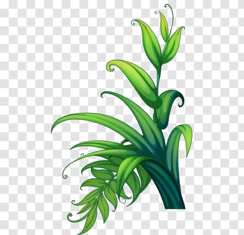 Plant Leaf - Green Grass Transparent PNG