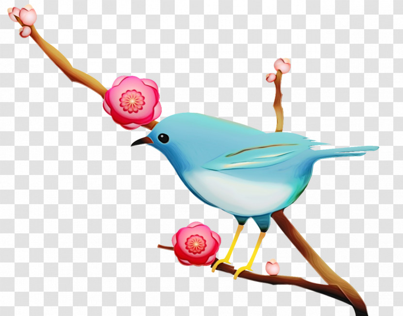 Bird Pink Branch Beak Songbird Transparent PNG