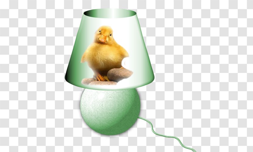 Duck Beak Fat - Pas De Deux Transparent PNG