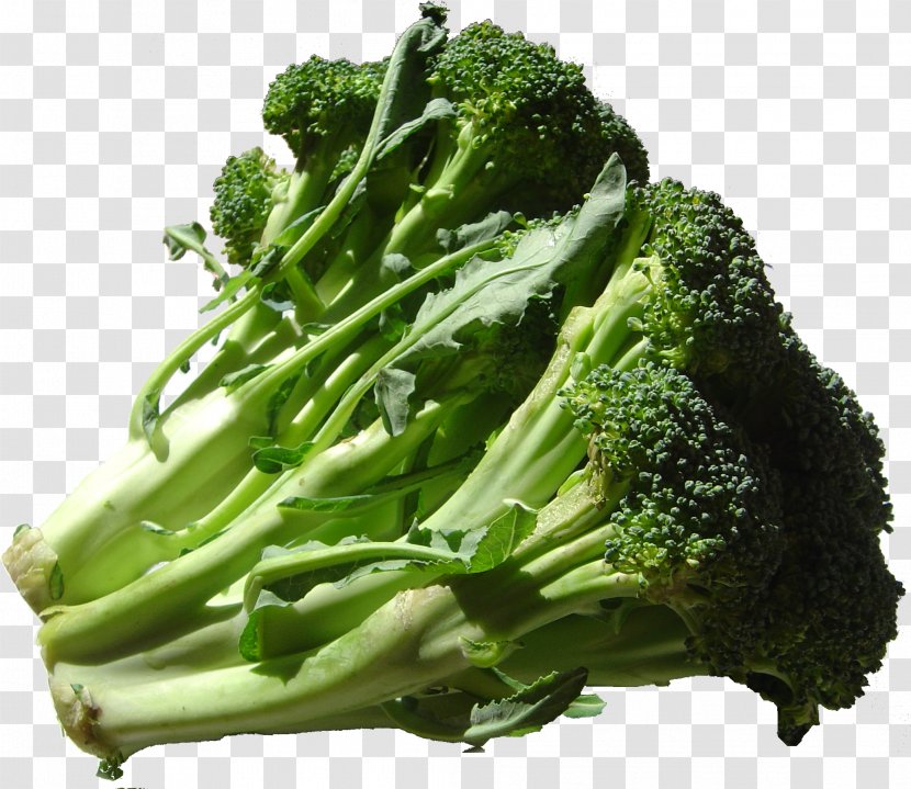 Organic Food Vegetable Emile Peloquin Fruits-Legumes Broccoli - Cruciferous Vegetables Transparent PNG