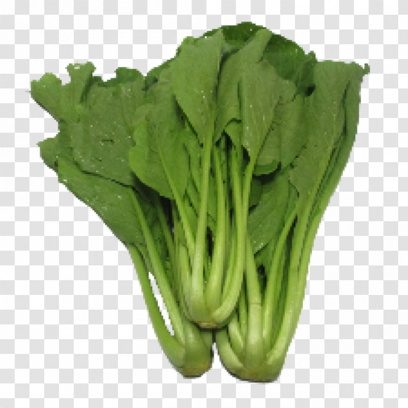 Choy Sum Leaf Vegetable Chinese Broccoli Lettuce - Kai Lan Transparent PNG