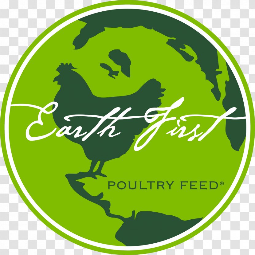 Chicken Poultry Feed Earth Food - Cartoon - Healthy Choices Affordable Transparent PNG