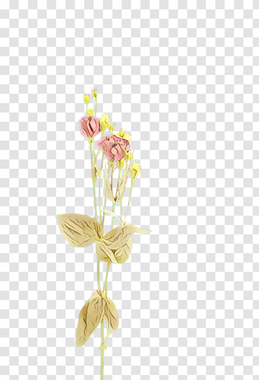 Pink Flowers Background - Plant - Orchid Wildflower Transparent PNG