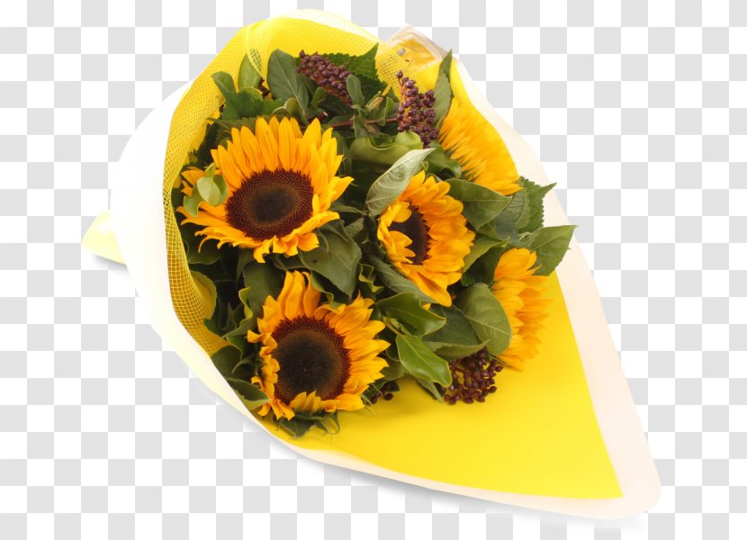 Floral Design Common Sunflower Cut Flowers Seed - Flower Transparent PNG