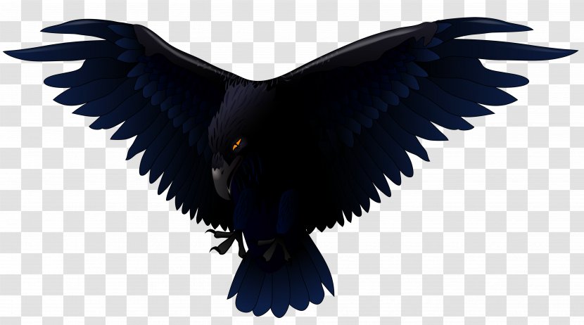 Common Raven Bird Clip Art - Wing - Cliparts Transparent PNG
